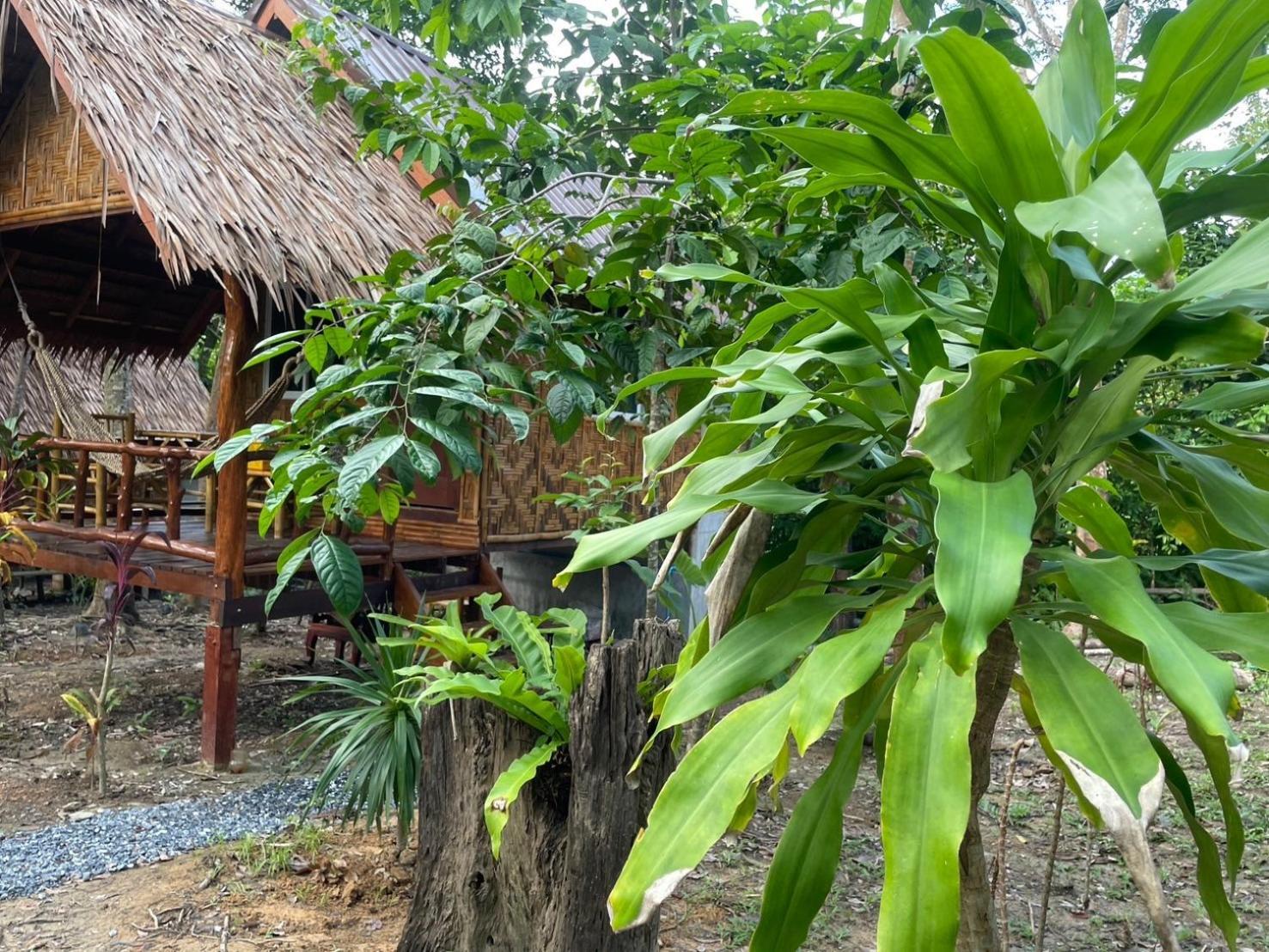 Апартаменти Dahla Lanta Hut Ко-Ланта Екстер'єр фото
